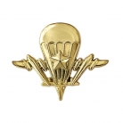 Эмблема сил специальных операций вооруженных сил